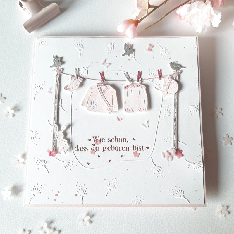 Piggy Craft metal kesme ölür k - Baby Clothing Model incelemesi ve fiyatı