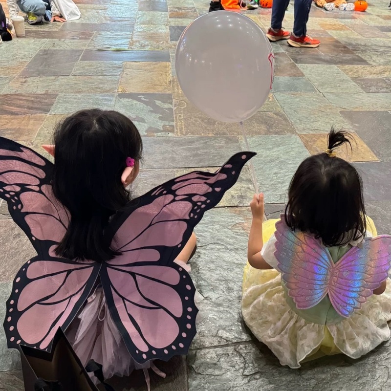 Cosplay pembe kelebek kanatlar - Baby Clothing Model incelemesi ve fiyatı